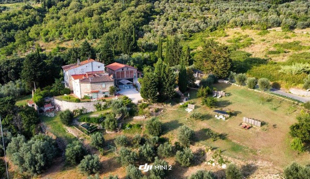 Florence Villa Violetta