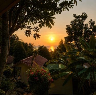 Flow Jungle Residency