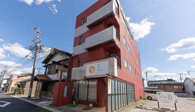 FLY CAT HOTEL