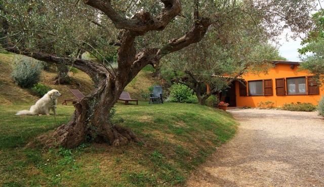Fonte Pecorale "la Stalla" " Pool 4x12 CIR 067027CV0001 CIN IT 067027C22EIT2PXX