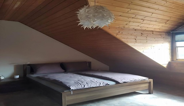 Forest and panoramic view apartment - 65m2 (Thanstein)