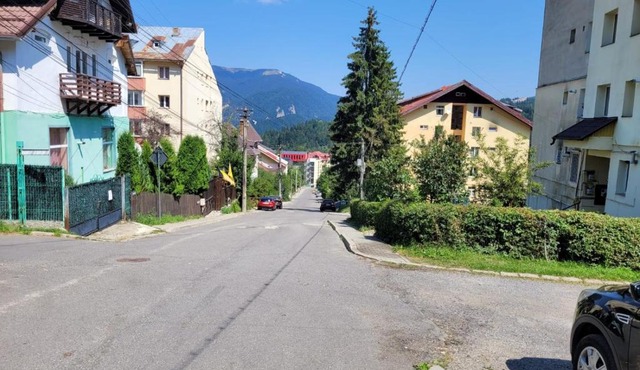 Forest Apartament