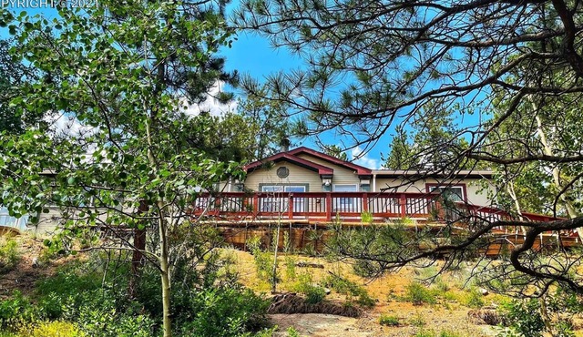 Forest cabin on 4 acres, Newly renovated, Quiet and secluded.