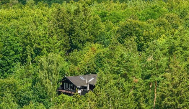 Forest cabin overlooking Bryrup Langsø