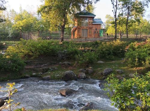Forest Cabin Stay in Doodpathri - Perfect for Couples, Bonfire, BBQ