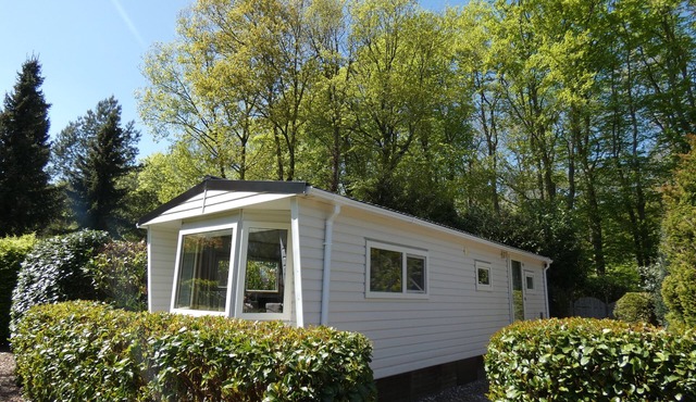 Forest cottage 24