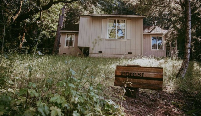 Forest Cottage