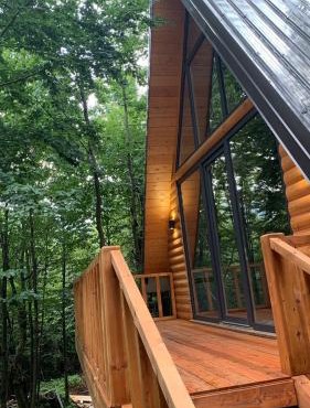Forest Escape