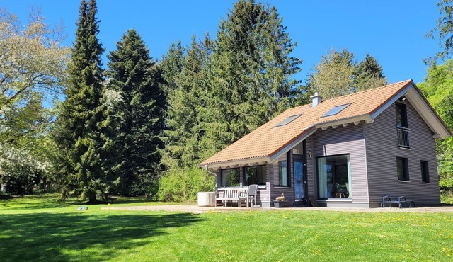 Forest Escape - Cozy, modern, quiet forest house with attic studio
