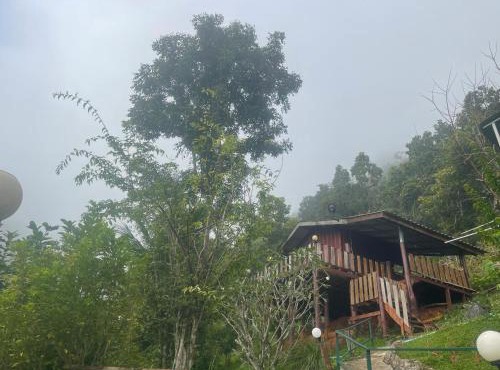 Forest Guesthouse