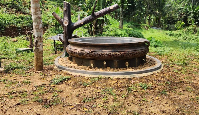 Forest home where elephants roam