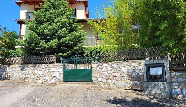 Forest House