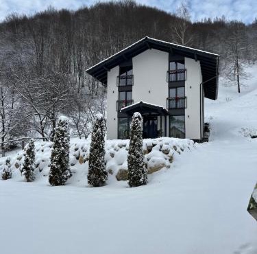 Forest House