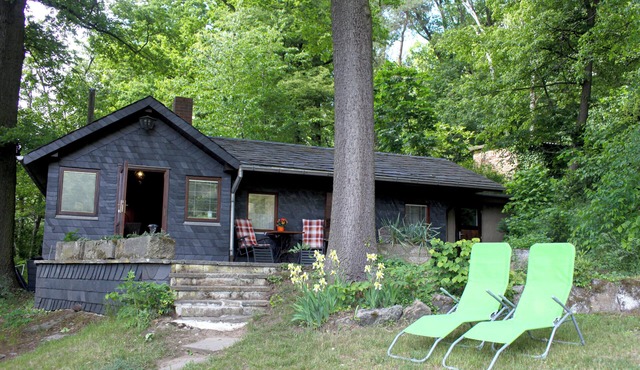 Forest hut with a view