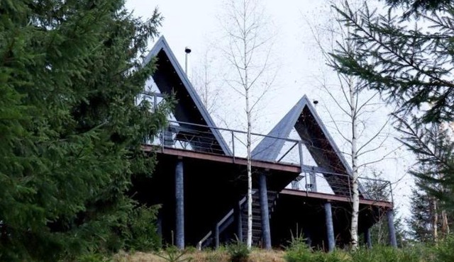 Forest Huts