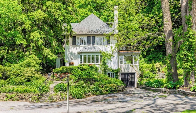 Forest living in Toronto