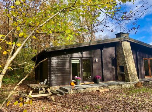 Forest Lodge