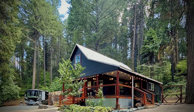 Forest Mountain Cabin, minutes to Downtown, trails, rivers & lakes