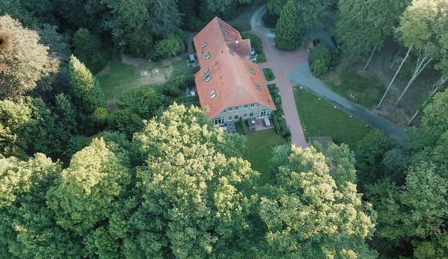 Forest retreat in East Frisia