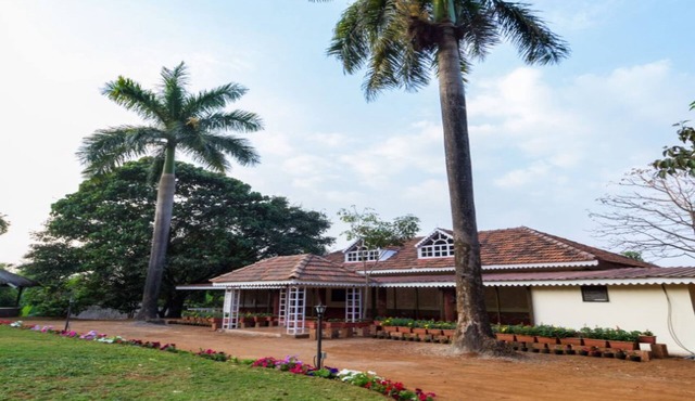 Forest Trails Adventure Resort