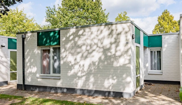 Forest Trails & Swimming Fun