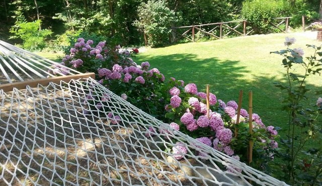 Forest View B&B
