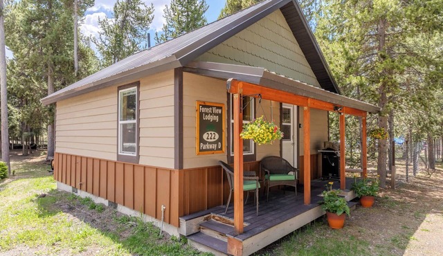 Forest View Cabin
