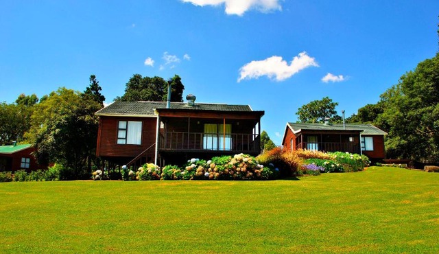 Forest View Cabins