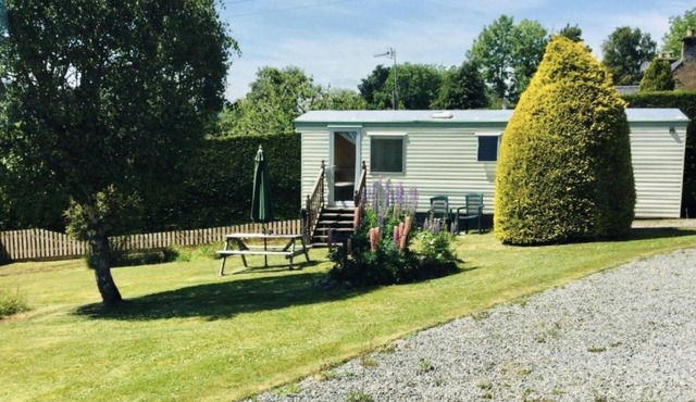 FOREST VIEW CARAVAN - ADULTS ONLY