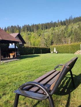 Forest View Cottage