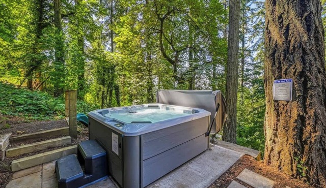 Forest-View Hot Tub 5 Min to UO Game Room