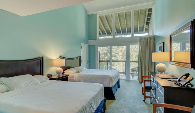 Forest-View Room with 2 Queen Beds