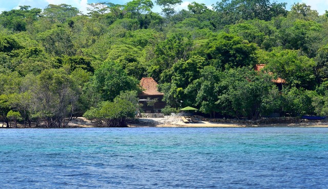 Forest Villa @ West Bali National Park