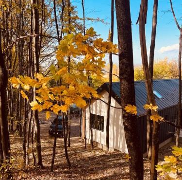 Forester Cabin