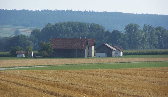Former Vierseithof