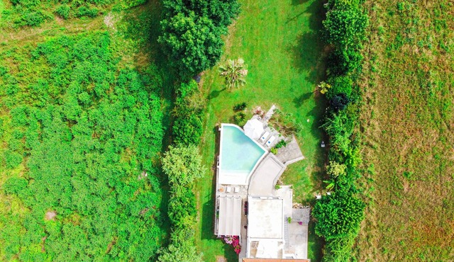 Forte dei Marmi - Villa with Pool and Garden