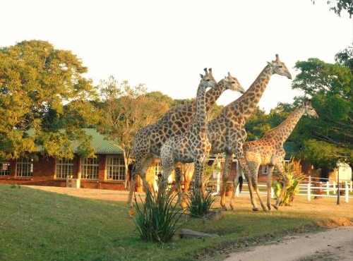 Fountainhill Estate Accommodation