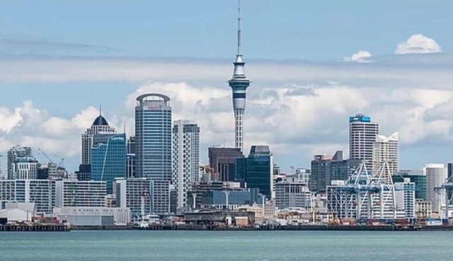 Four Hour Private Auckland Sightseeing Tour