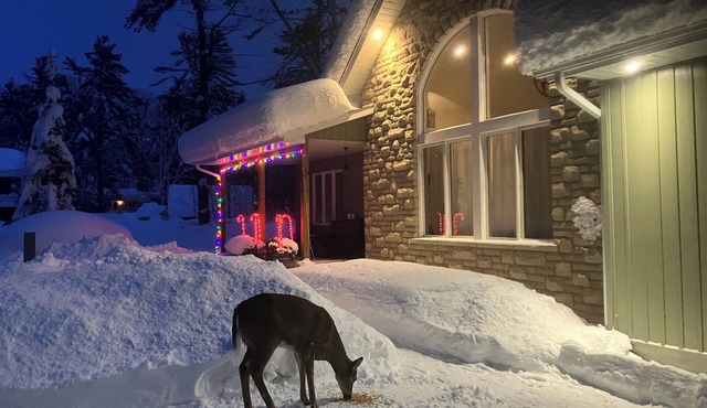 Four-season Cottage with a shared private beach in Muskoka!