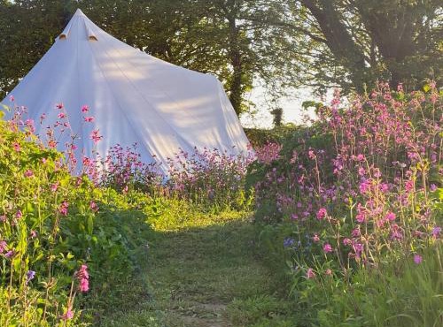 Foxglove Field Glamping