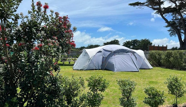 Foxton Beach Holiday Park - Camping