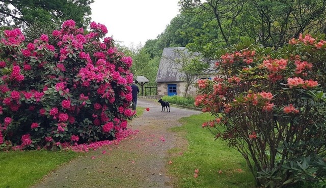 LE MOULIN D'AIROU