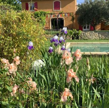 Fraîcheur et Romantisme Provence Luberon