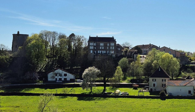 Franche-Comté- Vosges du sud - Chateau 15 people, 7 rooms, 1 DSB, 1SDD