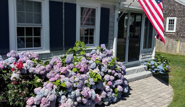 Frank's Cozy Cape Cod Beach Cottage