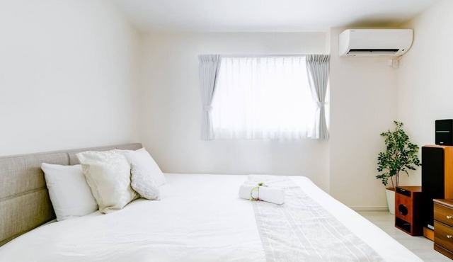 Free additional people Capacity 12 people Newly/Osaka Ōsaka