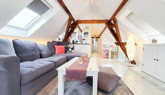 Friendly Home - "Helles Dachstudio" - Cologne - Fair - Bonn - Phantasialand