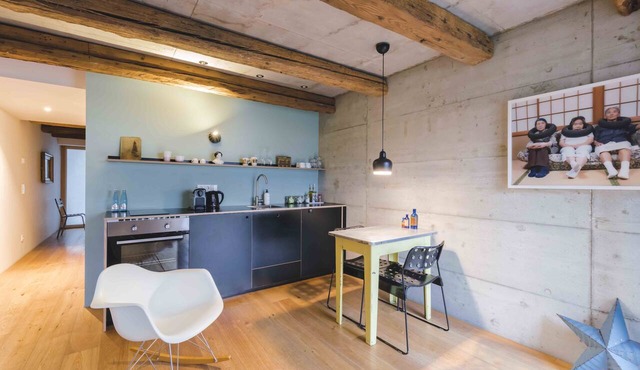 FRIZ 4, Modernes Apartment in historischer Scheune