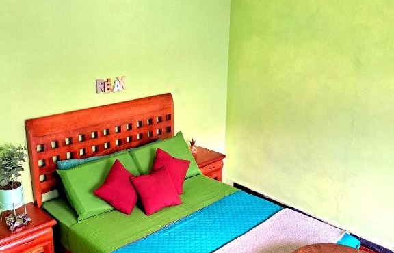 Frog room Taxco downtown