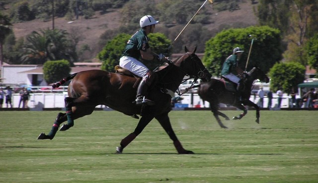 Front Row Seat On A World Class Polo Field!
